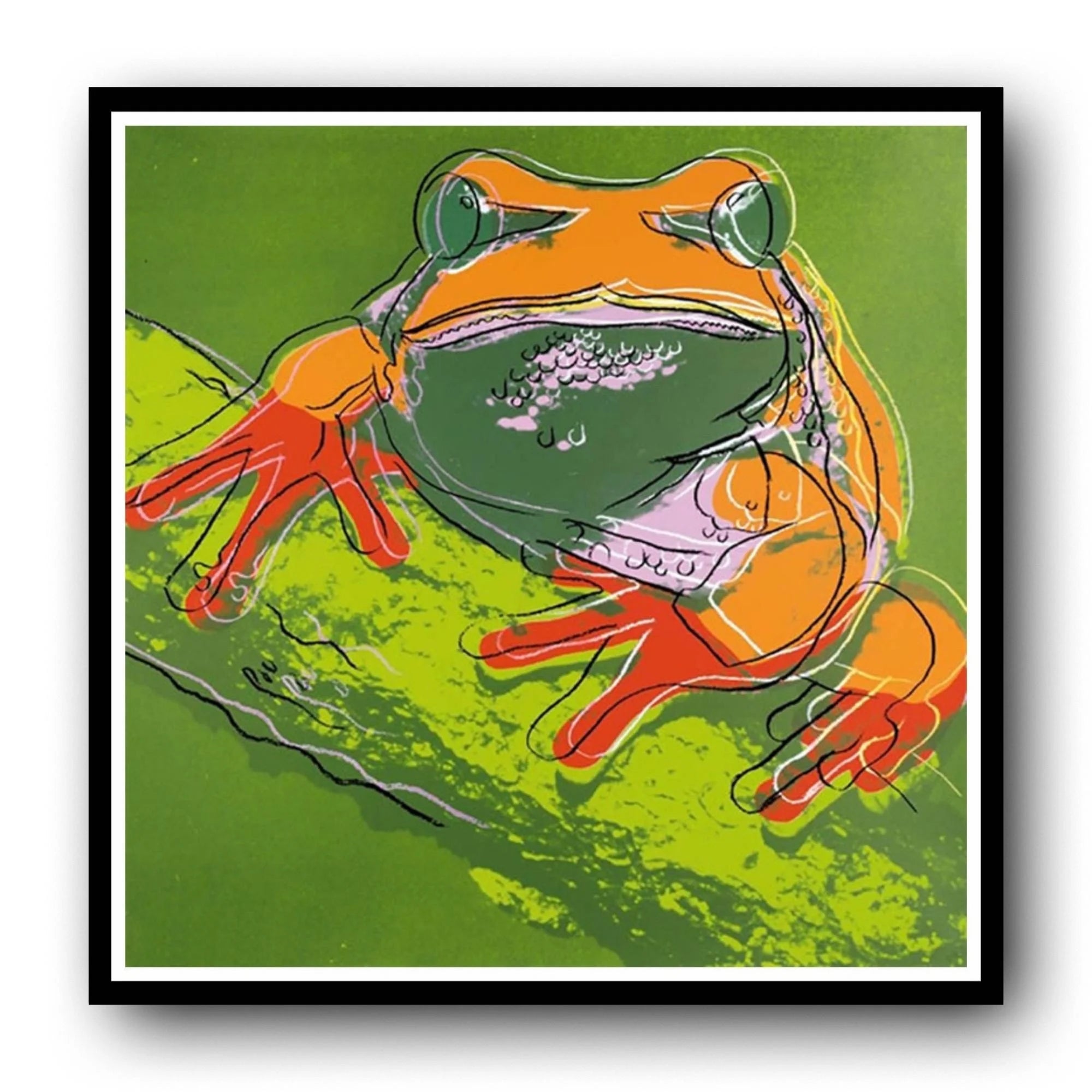 Colorful frog illustration on a green background